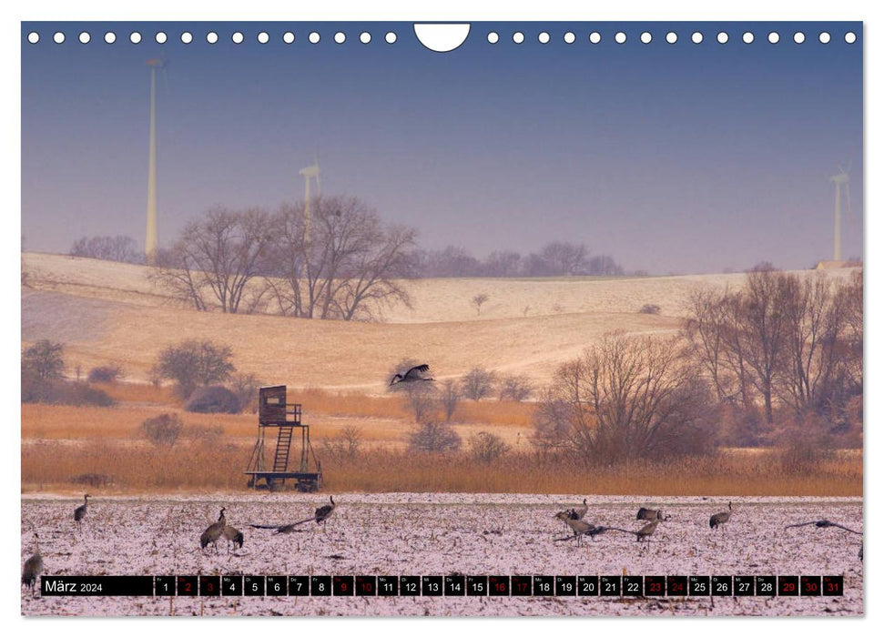 Oderlandschaft (CALVENDO Wandkalender 2024)