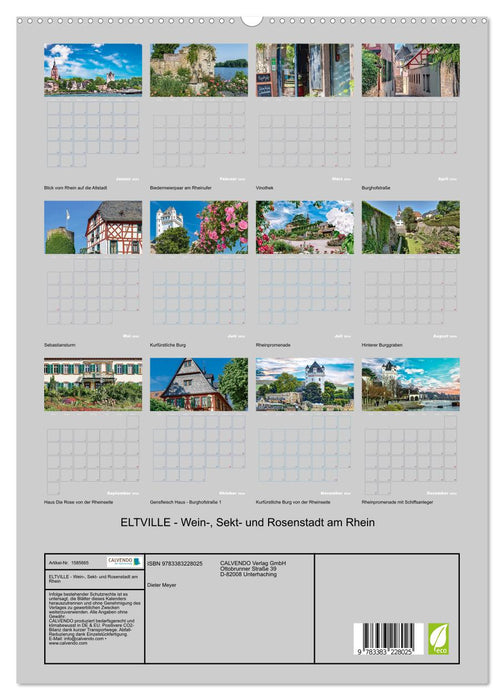 ELTVILLE – ville du vin, du vin mousseux et de la rose sur le Rhin (Calendrier mural CALVENDO Premium 2024) 