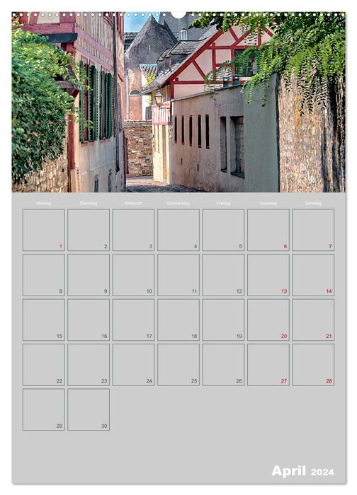 ELTVILLE – ville du vin, du vin mousseux et de la rose sur le Rhin (Calendrier mural CALVENDO Premium 2024) 