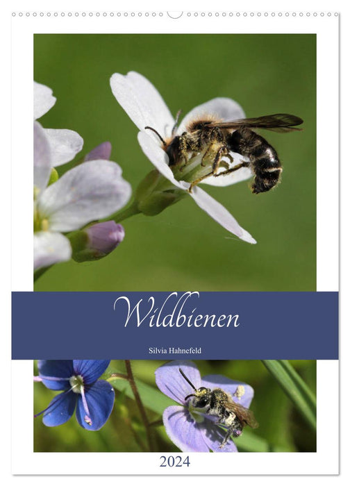 Wildbienen-Terminplaner 2024 (CALVENDO Wandkalender 2024)