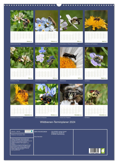 Wild bee appointment planner 2024 (CALVENDO wall calendar 2024) 