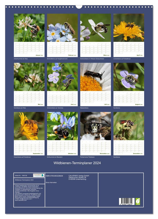 Wildbienen-Terminplaner 2024 (CALVENDO Wandkalender 2024)