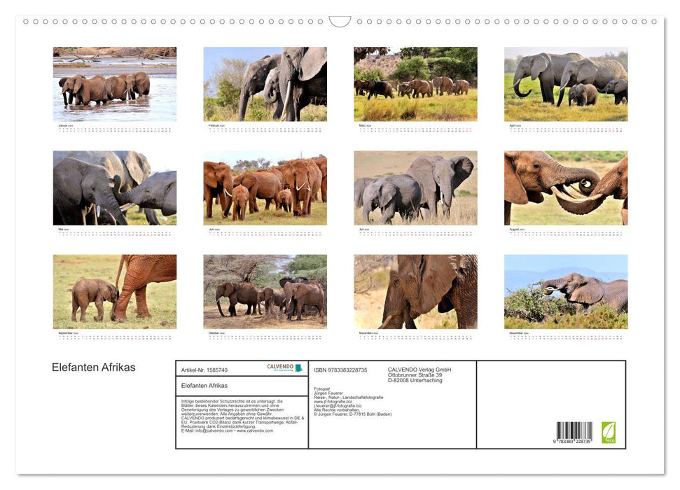 Elefanten Afrikas (CALVENDO Wandkalender 2024)