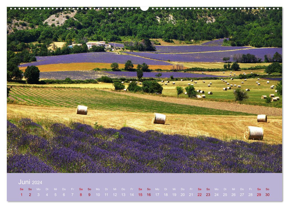 Les couleurs de la Provence... et le parfum de la lavande... (Calendrier mural CALVENDO 2024) 