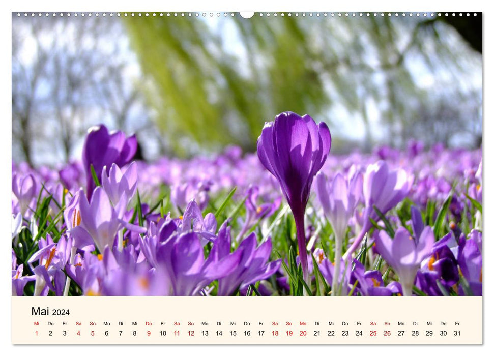 The seasons. Magic of change (CALVENDO wall calendar 2024) 