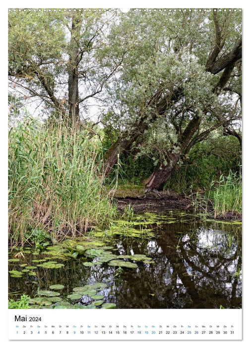 Havel-Sommer - Landschaften im Havelland (CALVENDO Premium Wandkalender 2024)