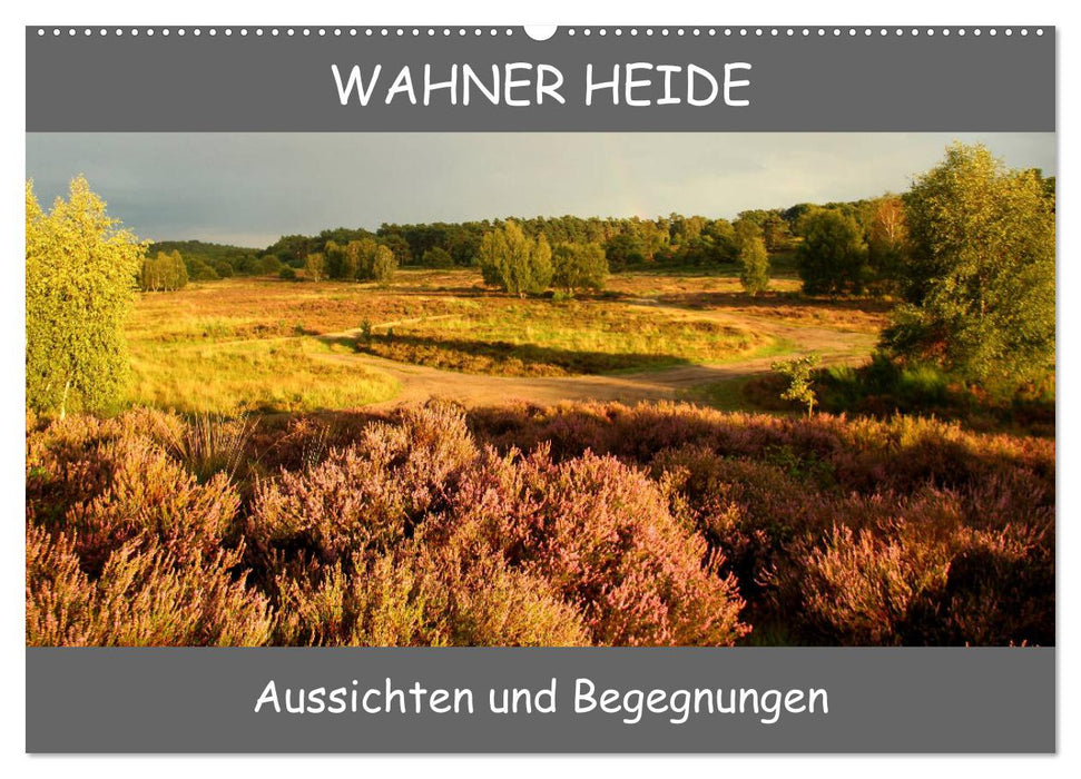 Wahner Heide - prospects and encounters (CALVENDO wall calendar 2024) 