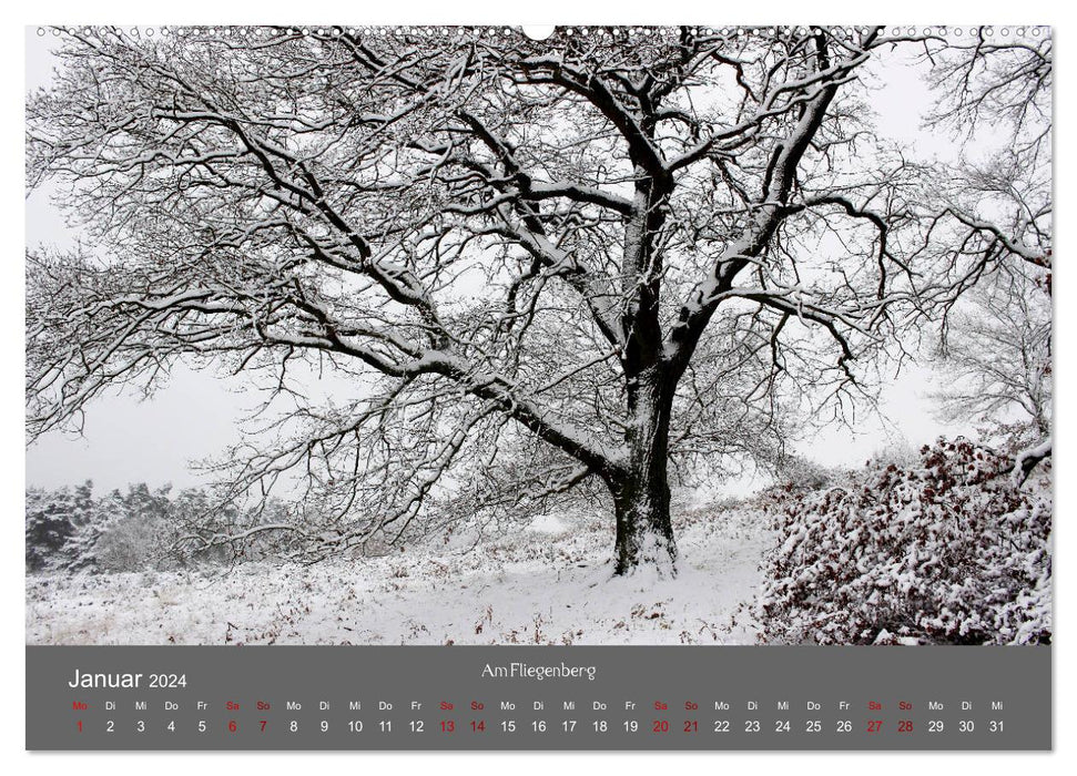 Wahner Heide - Aussichten und Begegnungen (CALVENDO Wandkalender 2024)