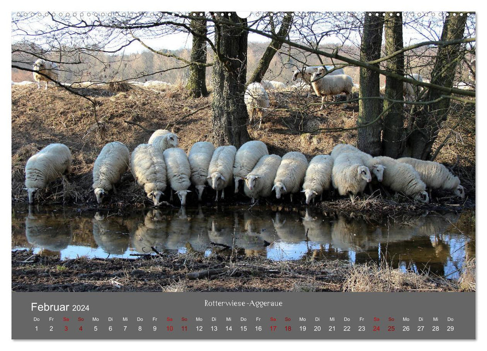 Wahner Heide - Aussichten und Begegnungen (CALVENDO Wandkalender 2024)