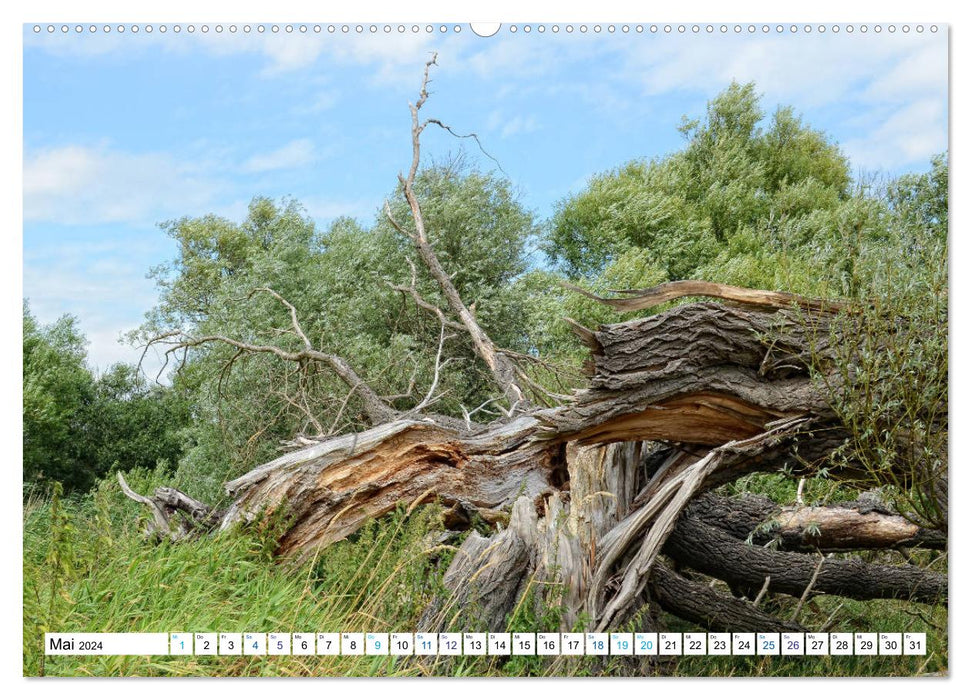 A summer in Havelland - walk along the Havel cycle path (CALVENDO Premium wall calendar 2024) 