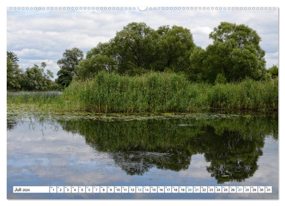 A summer in Havelland - walk along the Havel cycle path (CALVENDO Premium wall calendar 2024) 