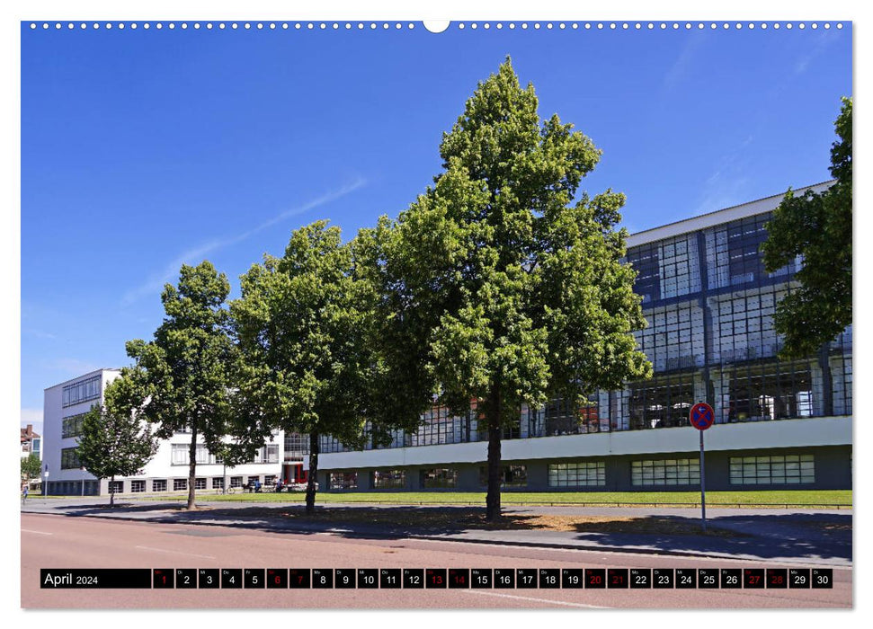 Dessau in Saxony-Anhalt (CALVENDO Premium Wall Calendar 2024) 