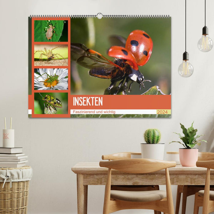 Insectes. Fascinant et important (calendrier mural CALVENDO 2024) 