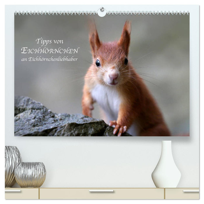 Tips from squirrels to squirrel lovers (CALVENDO Premium Wall Calendar 2024) 
