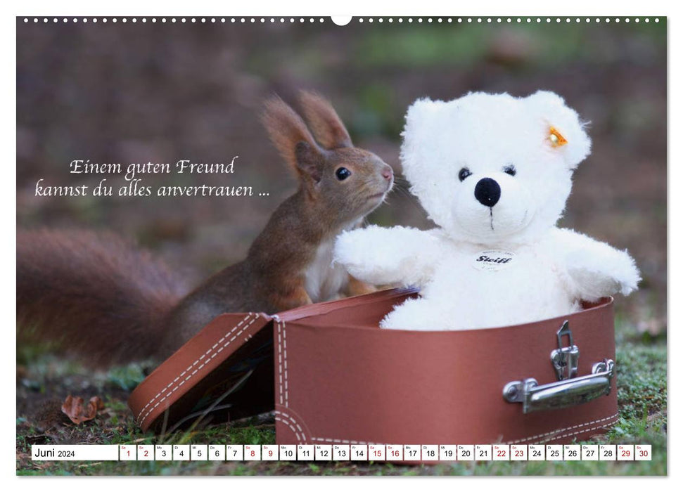 Tips from squirrels to squirrel lovers (CALVENDO Premium Wall Calendar 2024) 