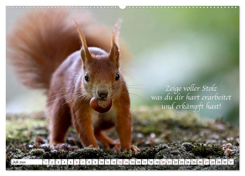Tipps von Eichhörnchen an Eichhörnchenliebhaber (CALVENDO Premium Wandkalender 2024)