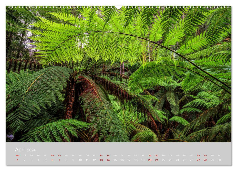 Tasmanie - joyau à l'autre bout du monde (calendrier mural CALVENDO 2024) 