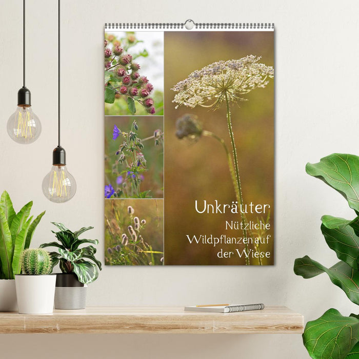 Unkräuter - Nützliche Wildpflanzen auf der Wiese (CALVENDO Wandkalender 2024)