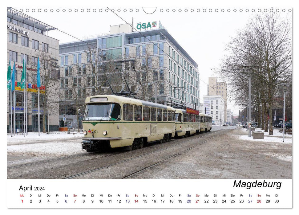 Les derniers chemins de fer des Tatras (calendrier mural CALVENDO 2024) 