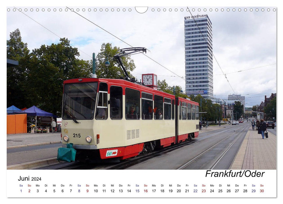 Les derniers chemins de fer des Tatras (calendrier mural CALVENDO 2024) 