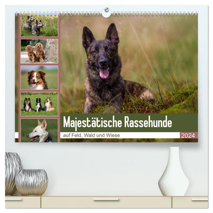 Majestic purebred dogs in the field, forest and meadow (CALVENDO Premium Wall Calendar 2024) 