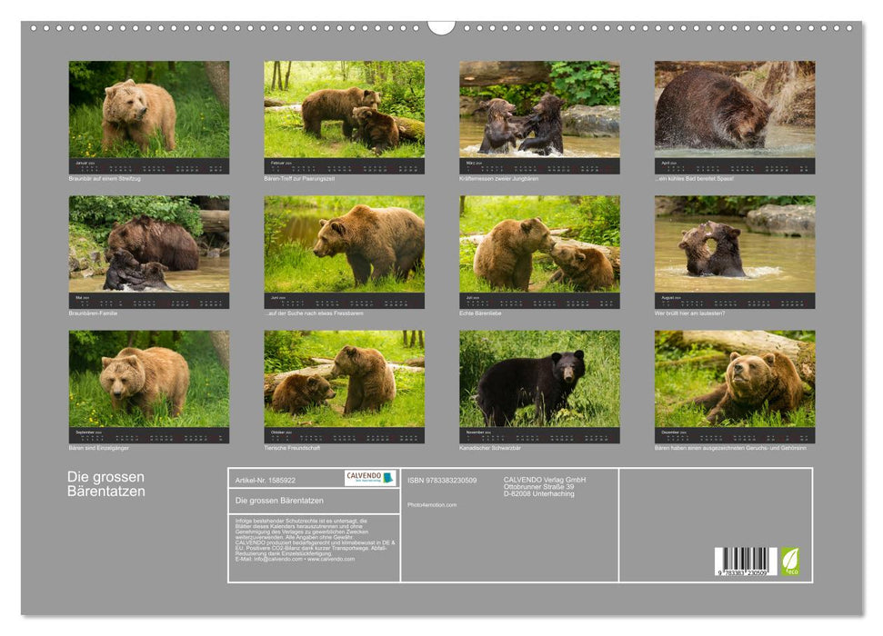 Les grandes pattes d'ours (Calendrier mural CALVENDO 2024) 