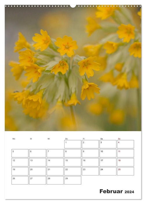 Farbiger Blütentraum (CALVENDO Premium Wandkalender 2024)