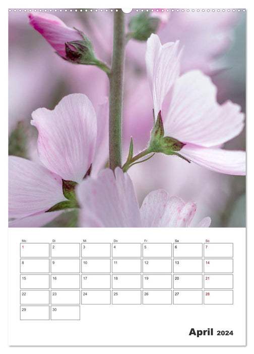 Colored flower dream (CALVENDO Premium wall calendar 2024) 