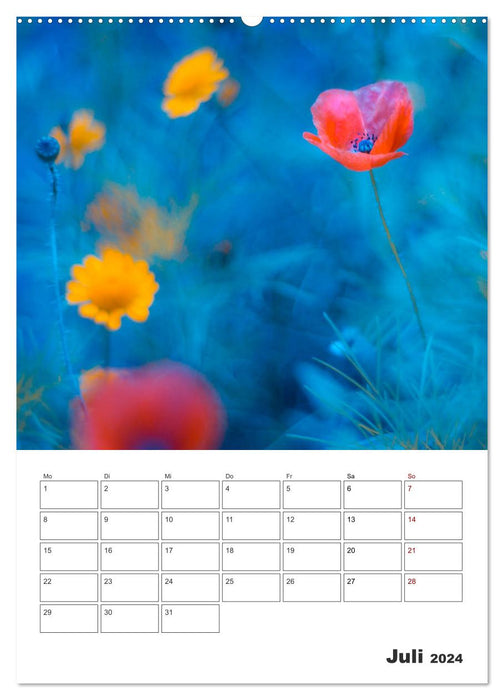 Farbiger Blütentraum (CALVENDO Premium Wandkalender 2024)