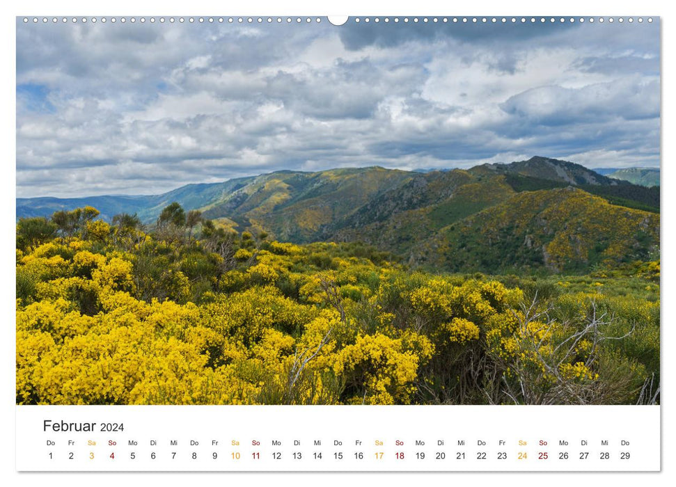 In the south of France - Ardèche, La Baume and Sevennen (CALVENDO Premium Wall Calendar 2024) 