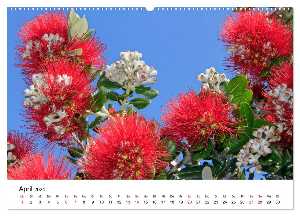 Madère – Jardins et Quintas (Calvendo Premium Wall Calendar 2024) 