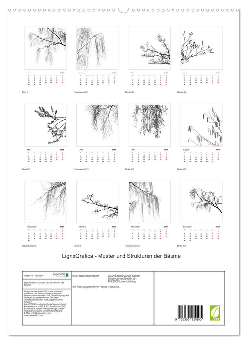 LignoGrafica - Motifs et structures d'arbres (Calvendo Premium Wall Calendar 2024) 