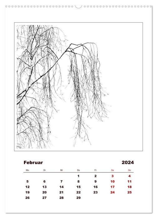 LignoGrafica - Motifs et structures d'arbres (Calvendo Premium Wall Calendar 2024) 