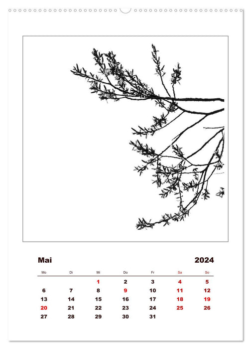 LignoGrafica - Motifs et structures d'arbres (Calvendo Premium Wall Calendar 2024) 