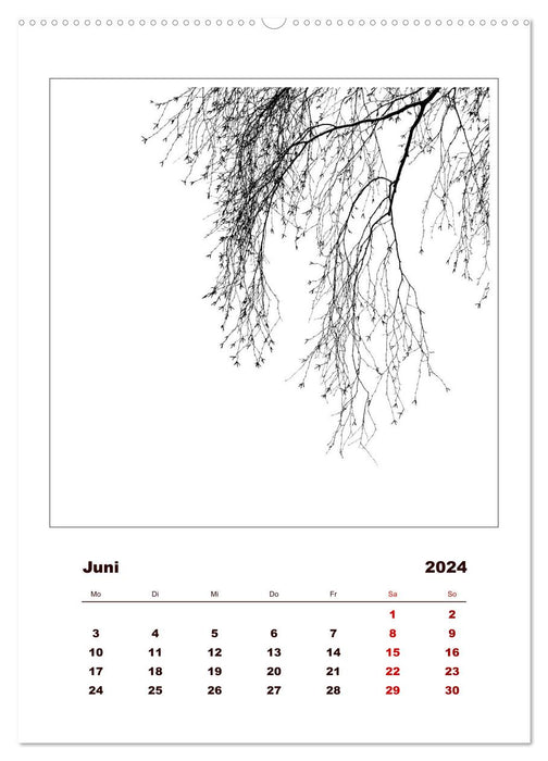 LignoGrafica - Motifs et structures d'arbres (Calvendo Premium Wall Calendar 2024) 