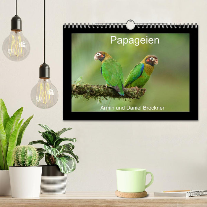 Papageien (CALVENDO Wandkalender 2024)