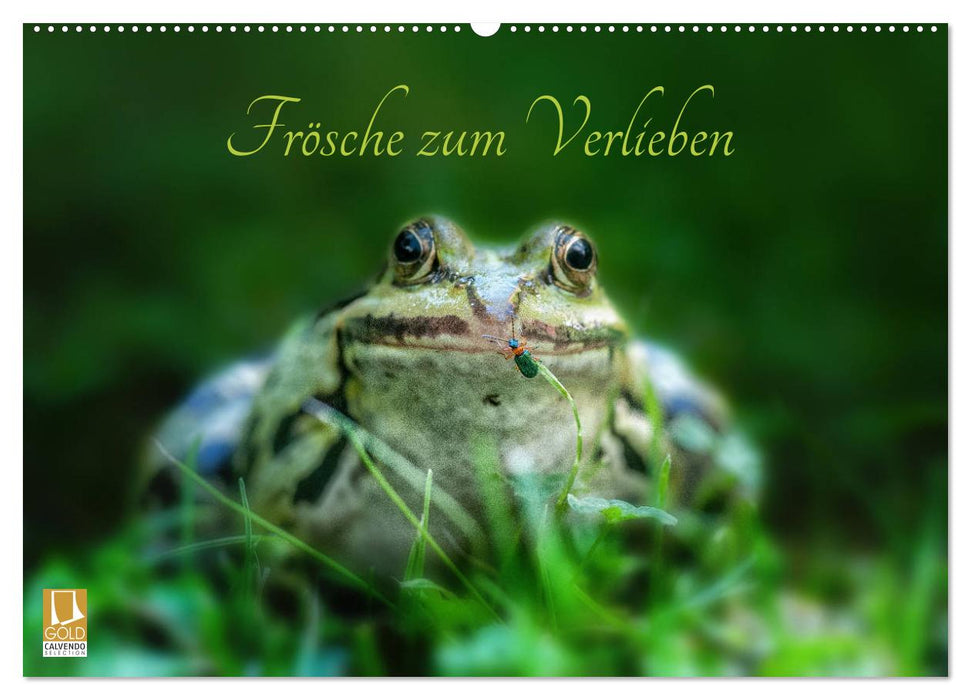 Frogs to fall in love with (CALVENDO wall calendar 2024) 