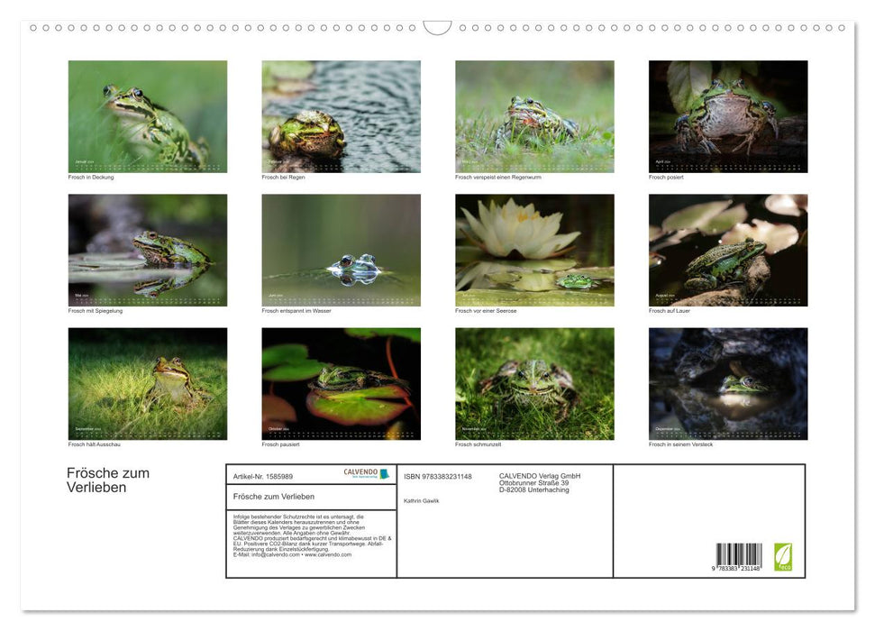 Frogs to fall in love with (CALVENDO wall calendar 2024) 