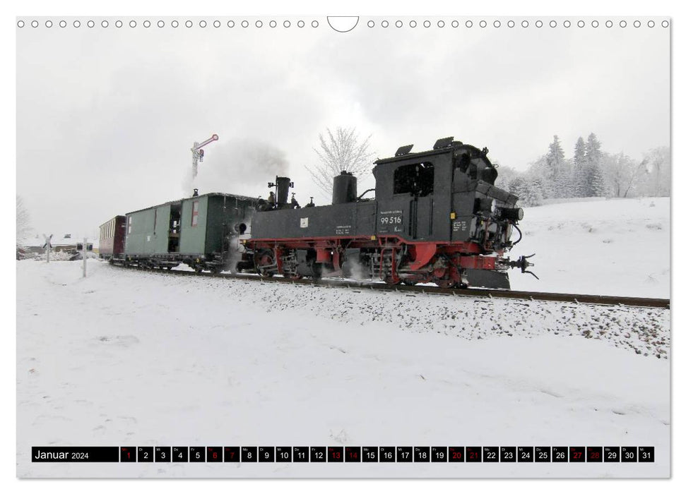 Steam train romance - steam trains on a narrow track (CALVENDO wall calendar 2024) 