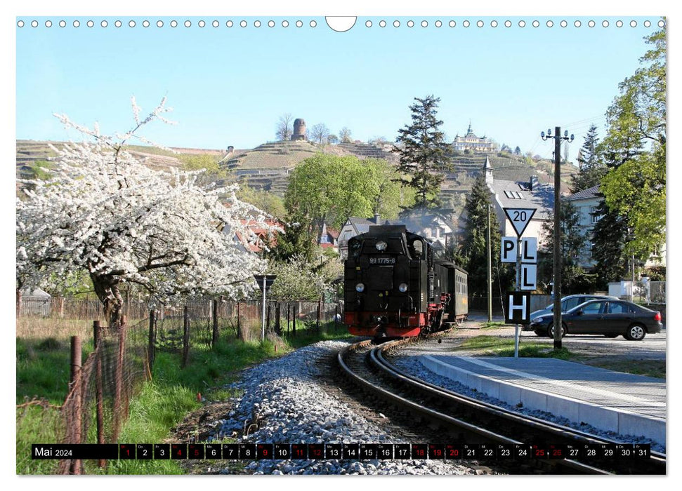 Romance de train à vapeur - trains à vapeur sur une voie étroite (calendrier mural CALVENDO 2024) 