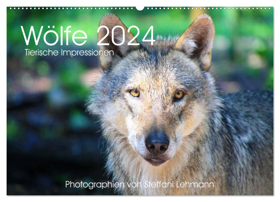 Loups 2024. Impressions d'animaux (Calendrier mural CALVENDO 2024) 