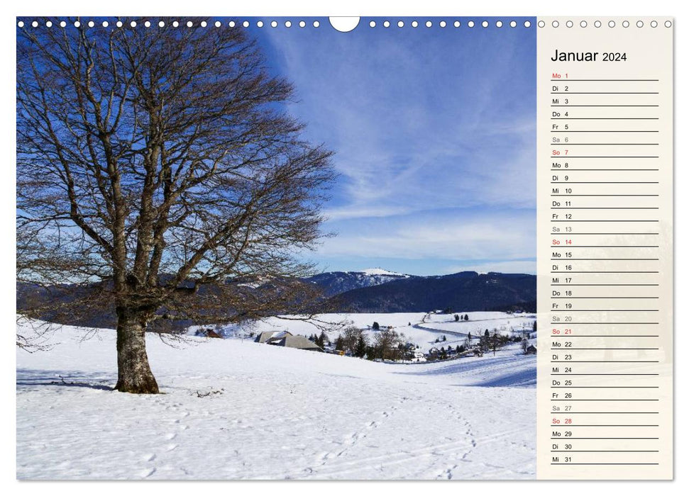 Sur le cheval noir de Schuster... Sud du Rhin supérieur et sud de la Forêt-Noire (calendrier mural CALVENDO 2024) 