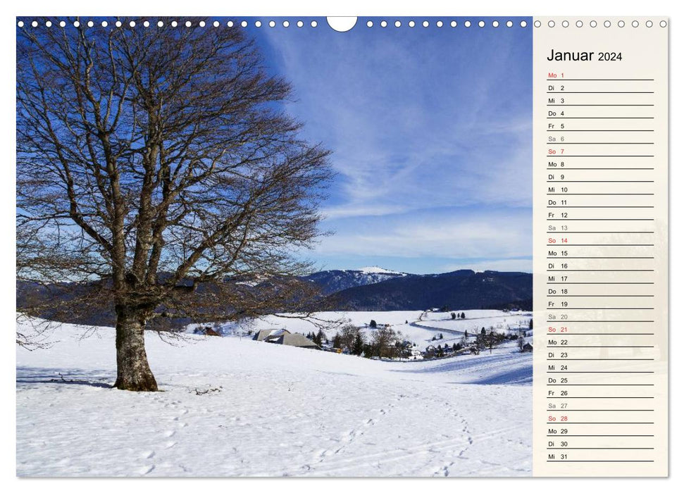 Auf Schusters Rappen... Südlicher Oberrhein und Südschwarzwald (CALVENDO Wandkalender 2024)