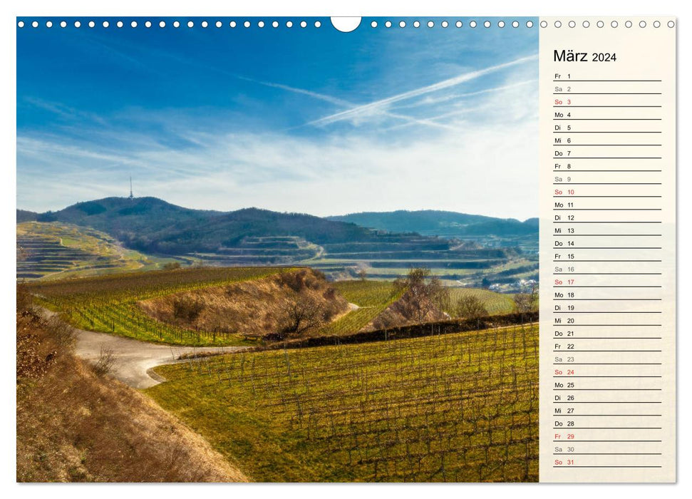 Auf Schusters Rappen... Südlicher Oberrhein und Südschwarzwald (CALVENDO Wandkalender 2024)