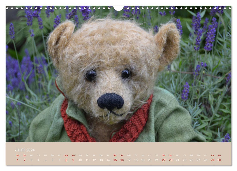 Robin der Bär (CALVENDO Wandkalender 2024)