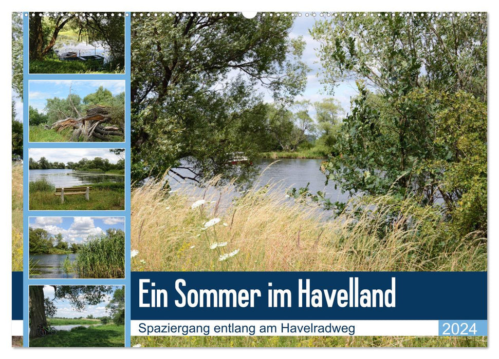 Ein Sommer im Havelland - Spaziergang entlang am Havelradweg (CALVENDO Wandkalender 2024)
