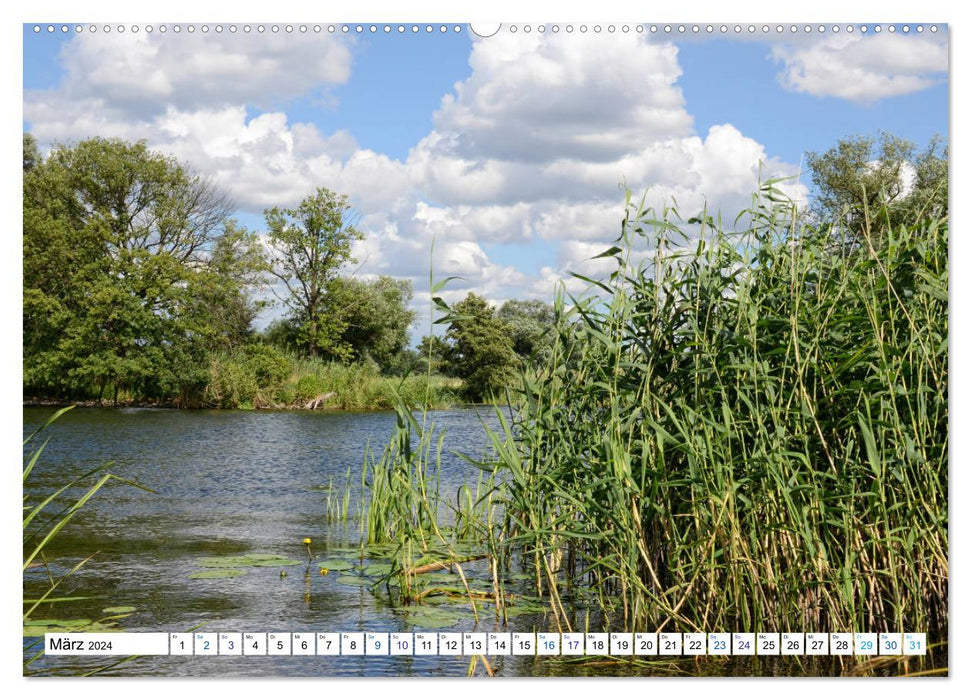 A summer in Havelland - walk along the Havel cycle path (CALVENDO wall calendar 2024) 