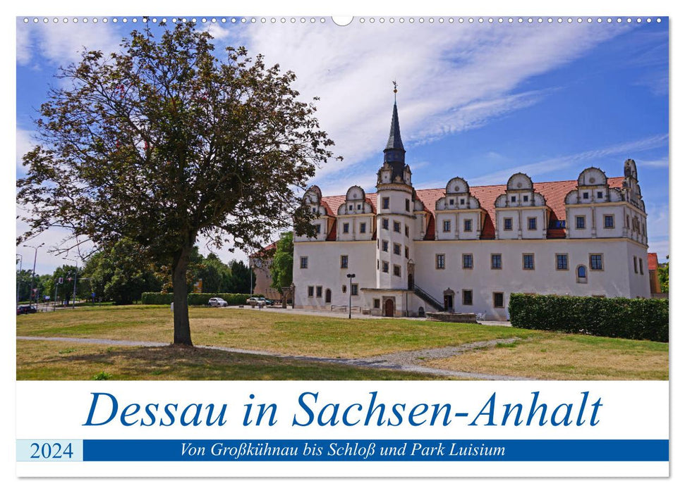 Dessau in Saxony-Anhalt (CALVENDO wall calendar 2024) 