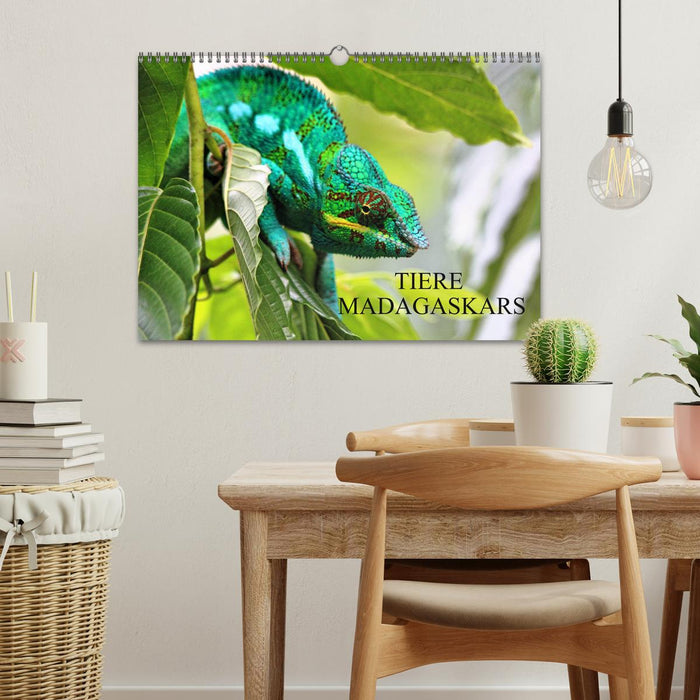 Animals of Madagascar (CALVENDO wall calendar 2024) 