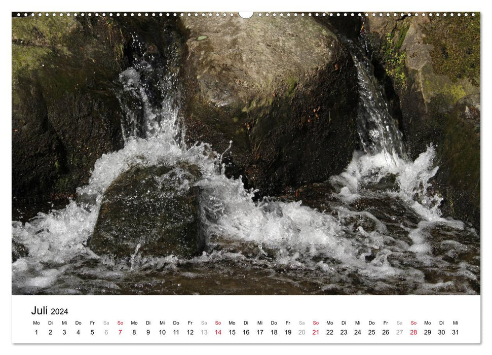 Diverse Bad Harzburg (CALVENDO Premium Wall Calendar 2024) 